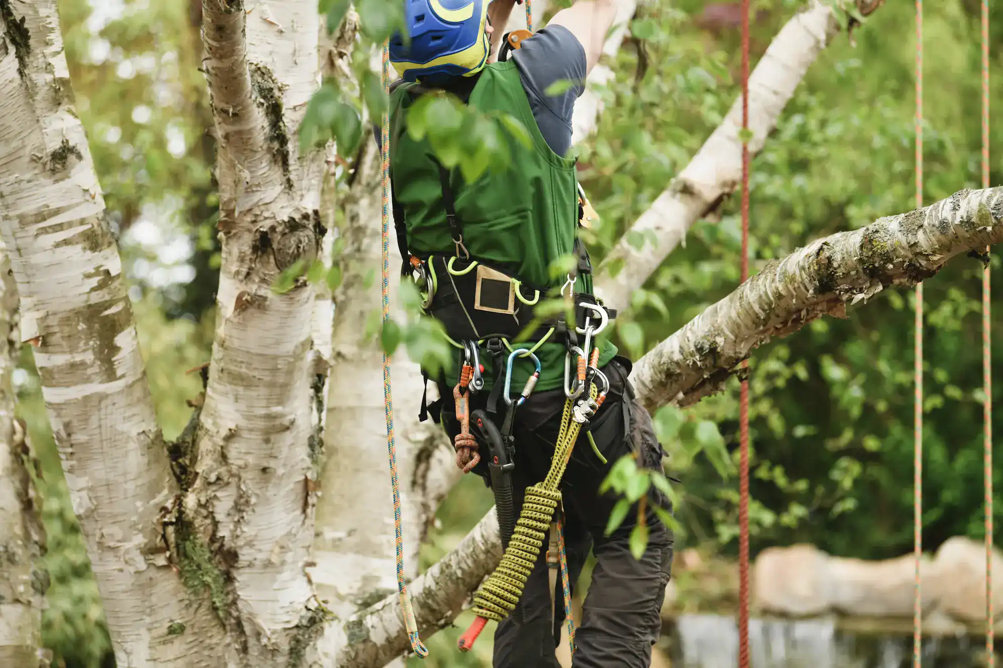 Tree service specialist working on elevated trimming job